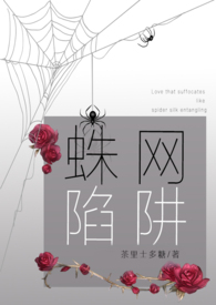 蛛网陷阱（病娇强制爱 合集H）